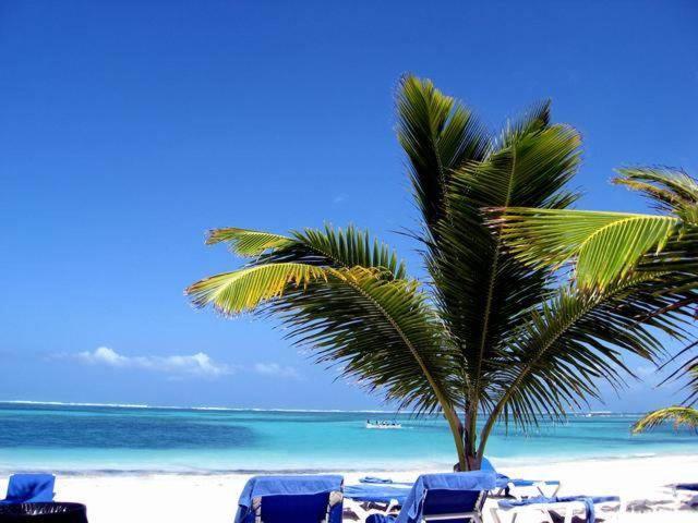 Larimar Beach Punta Cana 호텔 외부 사진